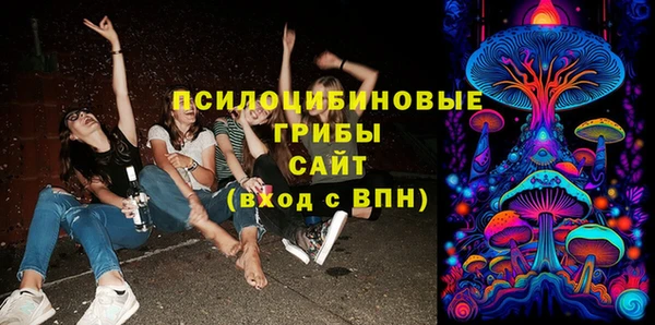 винт Осинники