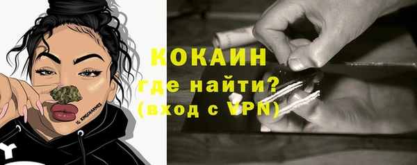 ешки Няндома