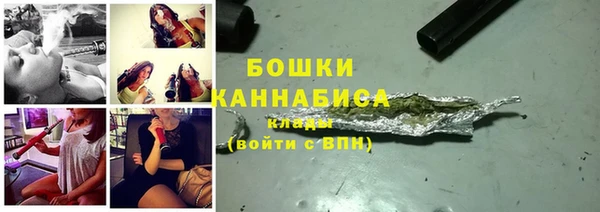 индика Гусиноозёрск