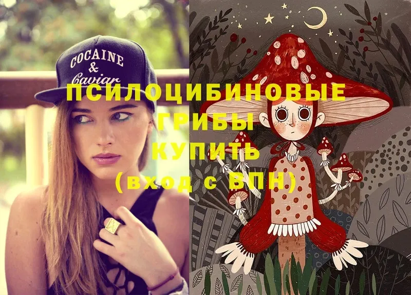 Галлюциногенные грибы Magic Shrooms  Починок 